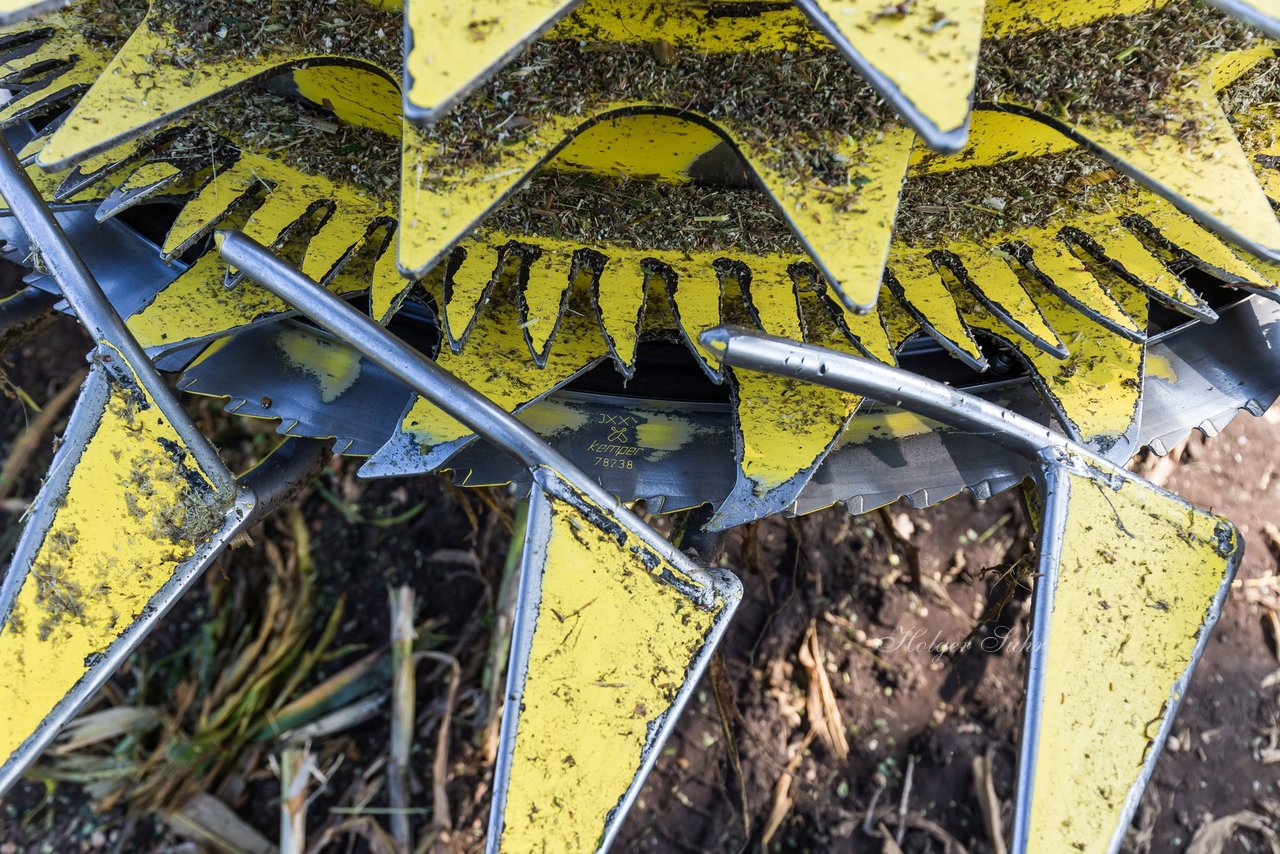 Bild 242 - Maisernte